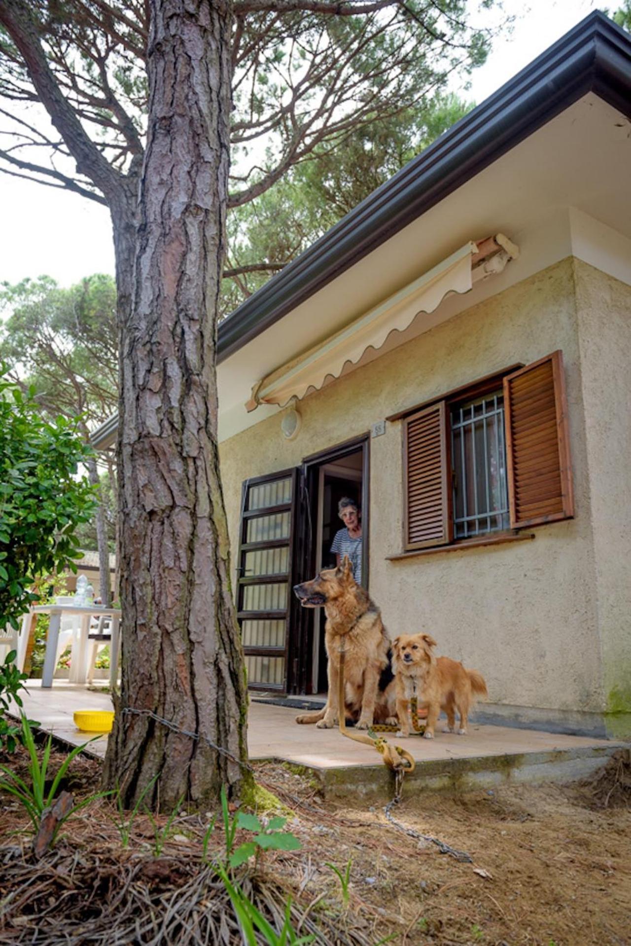 Arco Bungalow Eraclea Mare Exterior photo